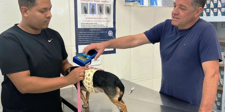 Prefeitura de Caraguatatuba abre agendamento para 300 vagas de castração de cães e gatos nesta sexta-feira (12/04)